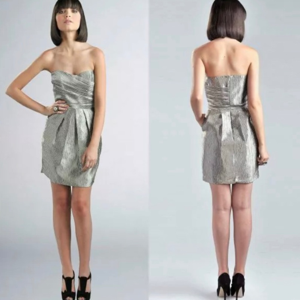 NWT Greylin Anthropologie Metallic Strapless Dress